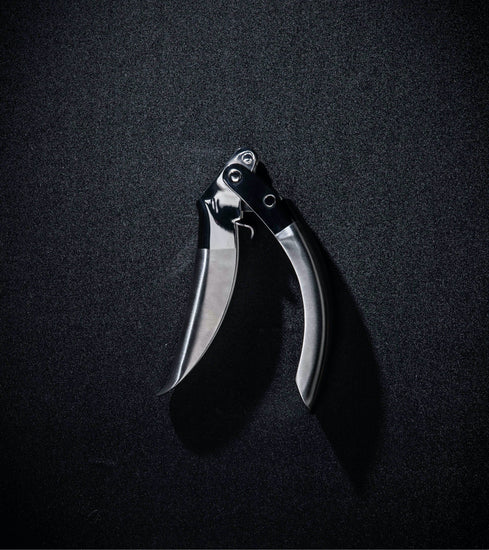 Prensa de Ajo de Acero Inoxidable con Doble Palanca Asistida